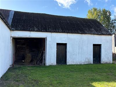 Picture 25